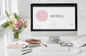 Payroll Software Trends in India: What Businesses Need to Know Payroll Software Trends in India: What Businesses Need to Know